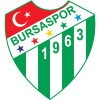皮纳尔